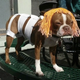 Illustration for article titled Doggy Leeloo might be the greatest emFifth Element/em cosplay ever